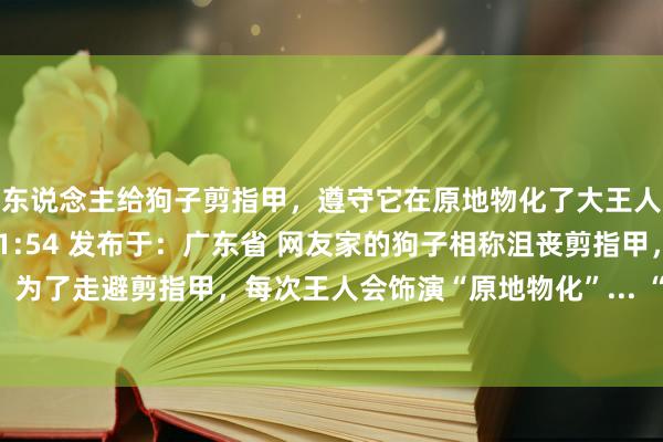 主东说念主给狗子剪指甲，遵守它在原地物化了大王人次！ 2024-08-25 21:54 发布于：广东省 网友家的狗子相称沮丧剪指甲， 为了走避剪指甲，每次王人会饰演“原地物化”... “啊，汪死了，死狗是不需要剪指甲