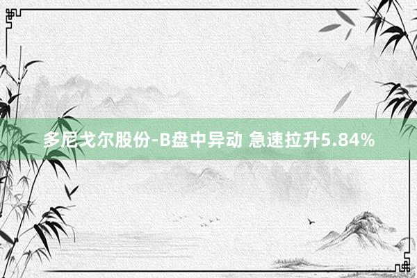多尼戈尔股份-B盘中异动 急速拉升5.84%