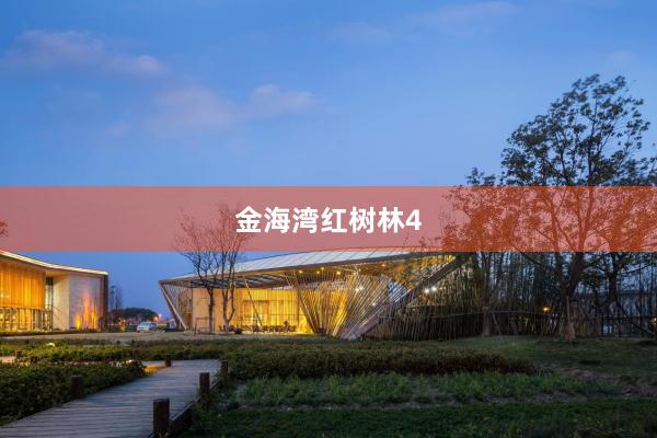 金海湾红树林4