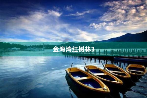 金海湾红树林3