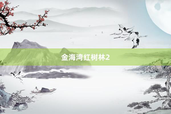金海湾红树林2