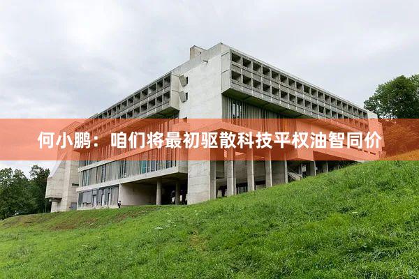 何小鹏：咱们将最初驱散科技平权油智同价
