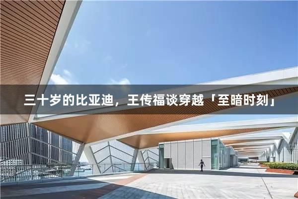 三十岁的比亚迪，王传福谈穿越「至暗时刻」