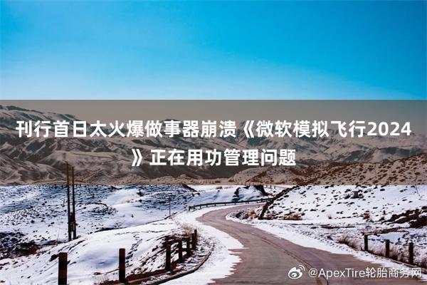 刊行首日太火爆做事器崩溃《微软模拟飞行2024》正在用功管理问题
