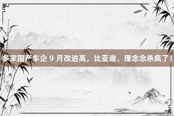 多家国产车企 9 月改进高，比亚迪、理念念杀疯了！