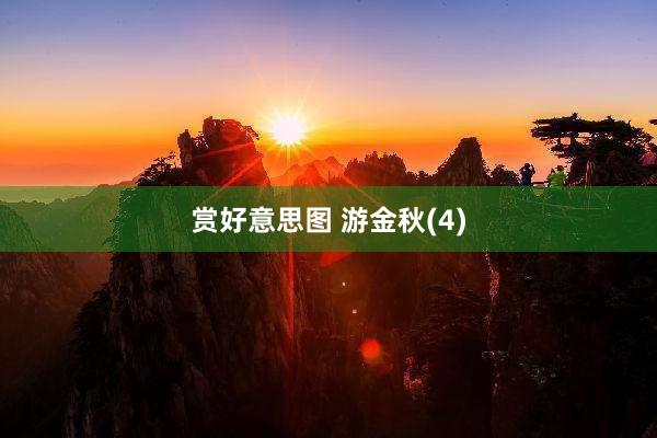赏好意思图 游金秋(4)