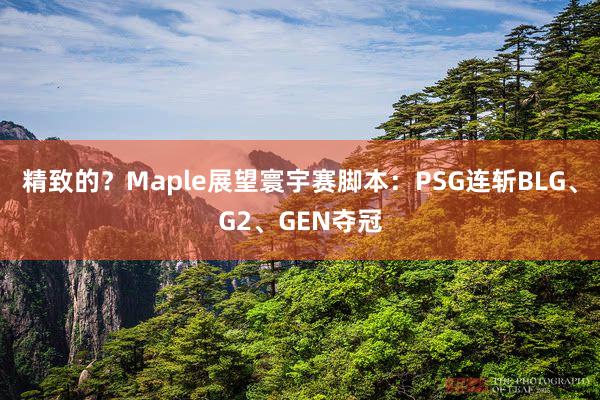 精致的？Maple展望寰宇赛脚本：PSG连斩BLG、G2、GEN夺冠