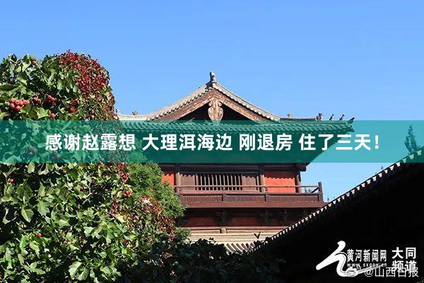 感谢赵露想 大理洱海边 刚退房 住了三天!