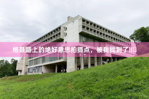 格聂路上的绝好意思拍摄点,被我找到了‼️