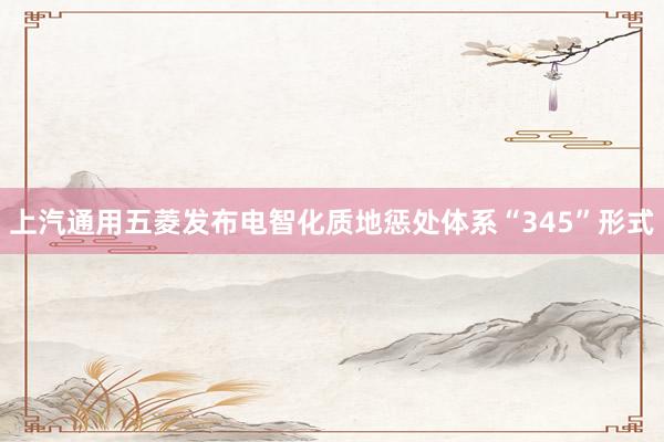 上汽通用五菱发布电智化质地惩处体系“345”形式
